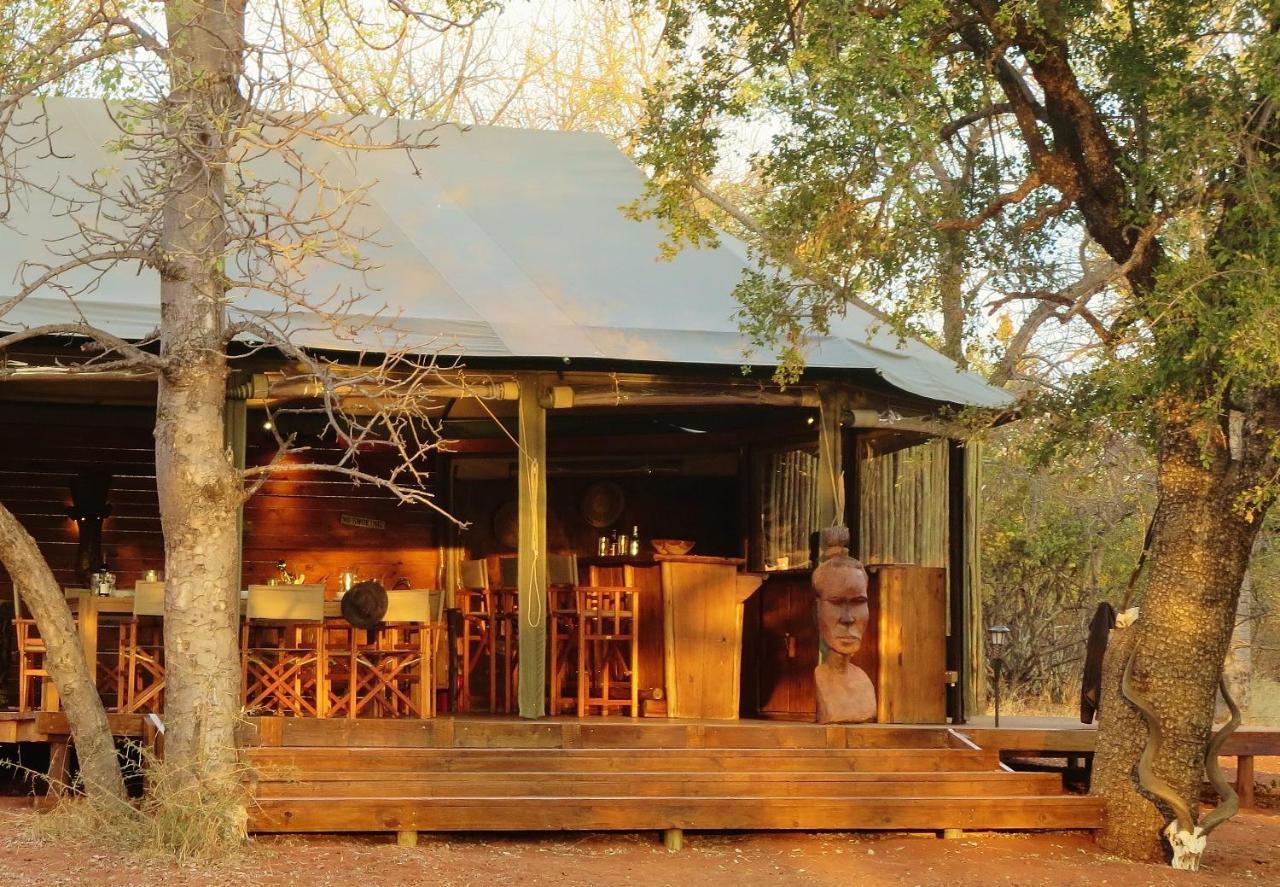 Iphofolo Lodge & Tented Camp Vivo Bagian luar foto