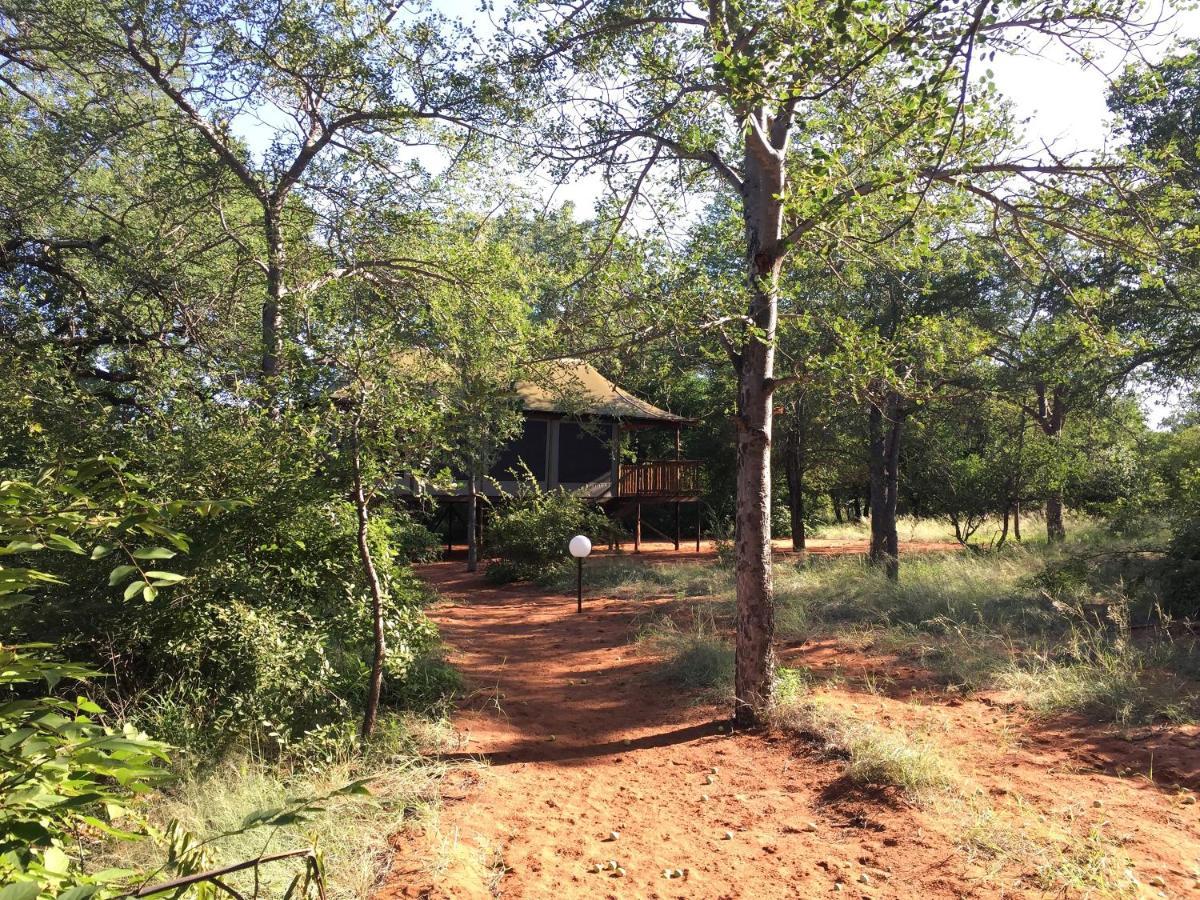 Iphofolo Lodge & Tented Camp Vivo Bagian luar foto
