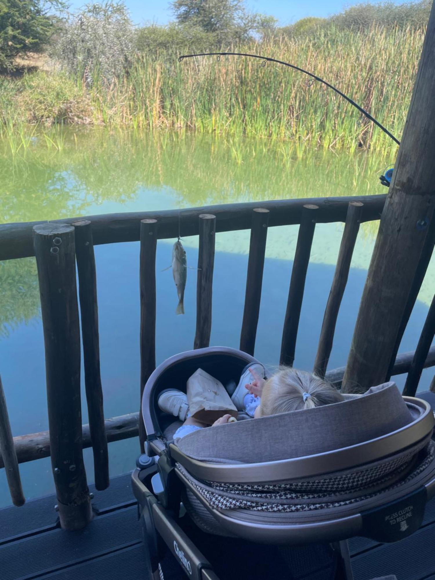 Iphofolo Lodge & Tented Camp Vivo Bagian luar foto
