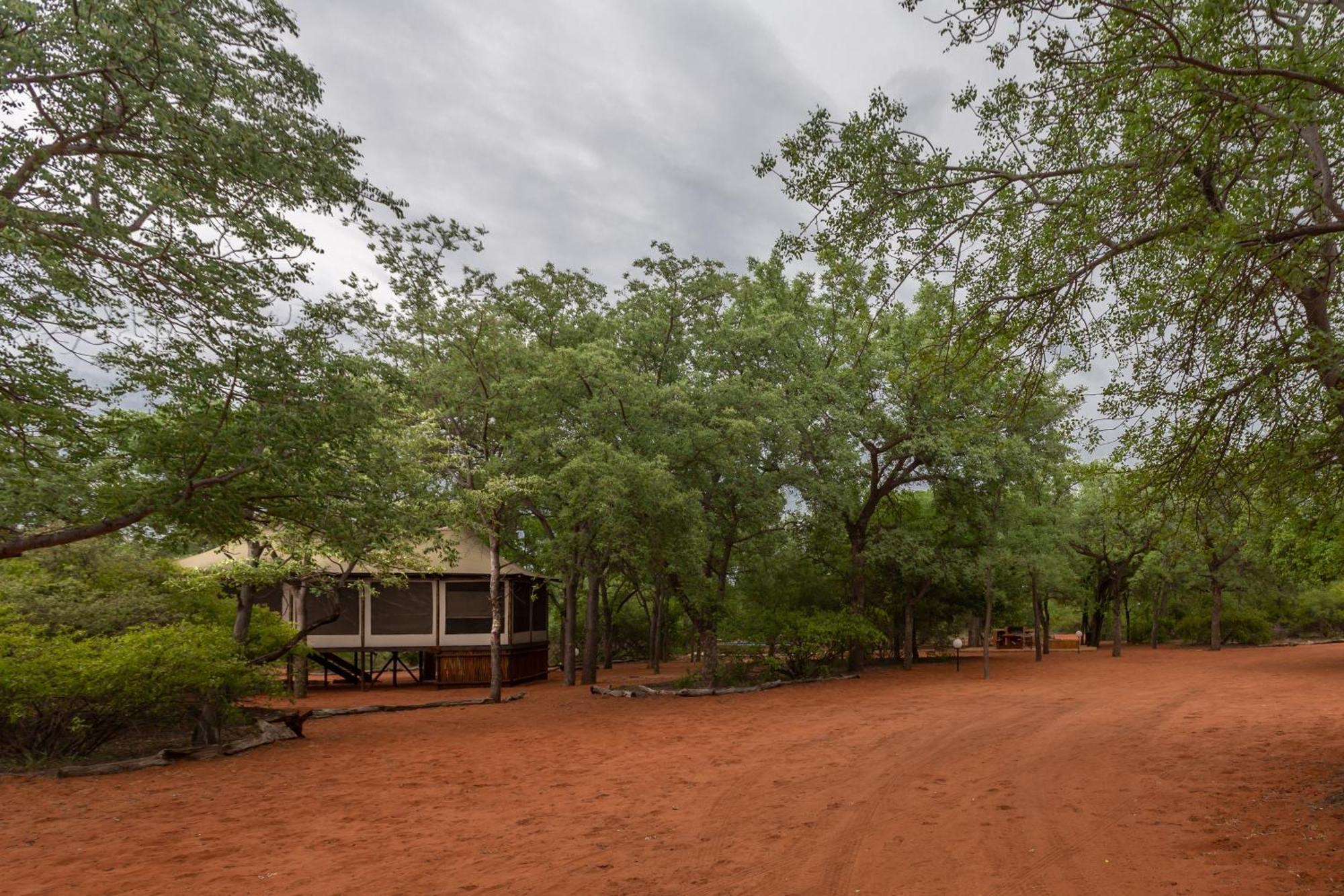 Iphofolo Lodge & Tented Camp Vivo Bagian luar foto