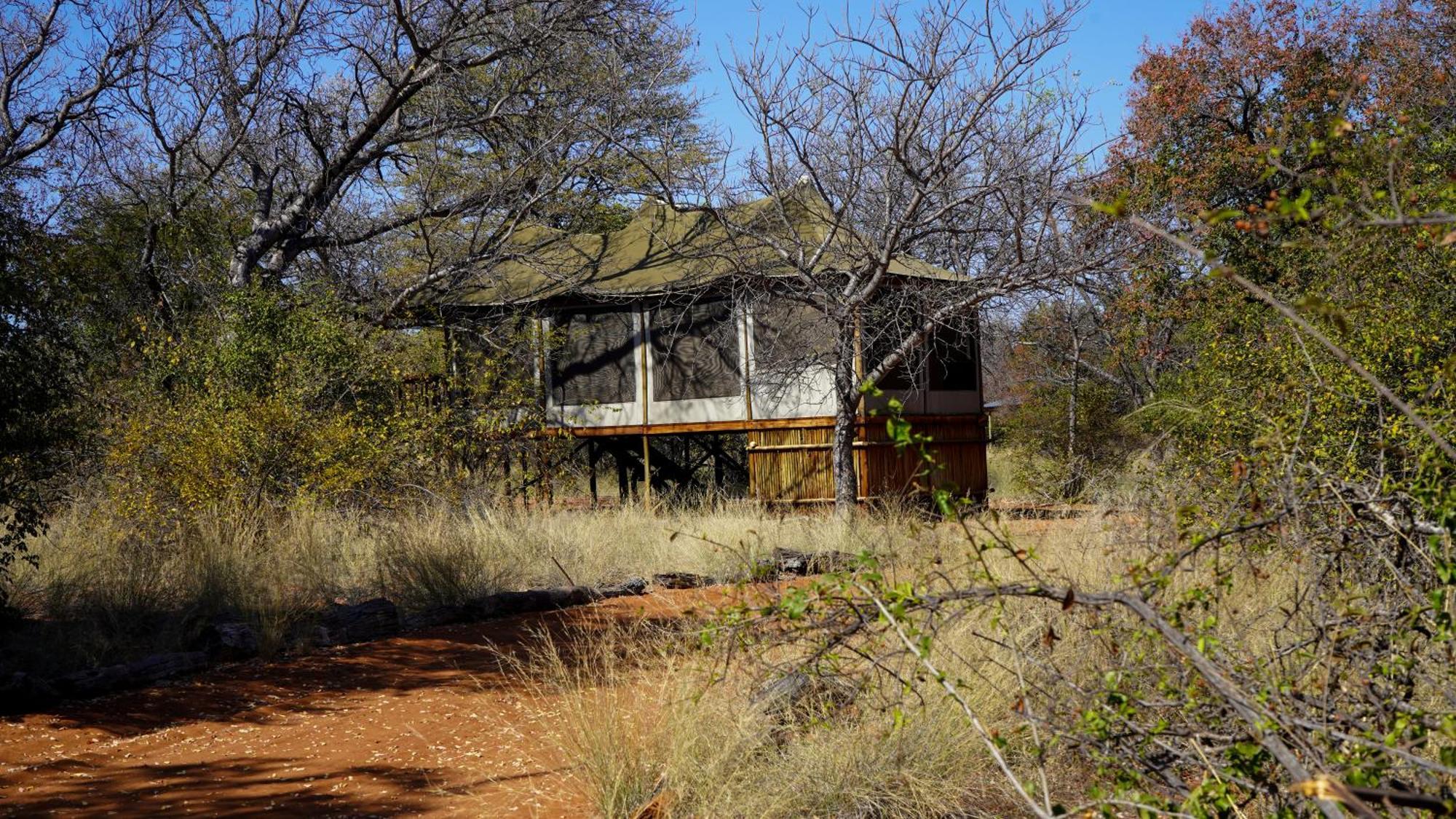 Iphofolo Lodge & Tented Camp Vivo Bagian luar foto
