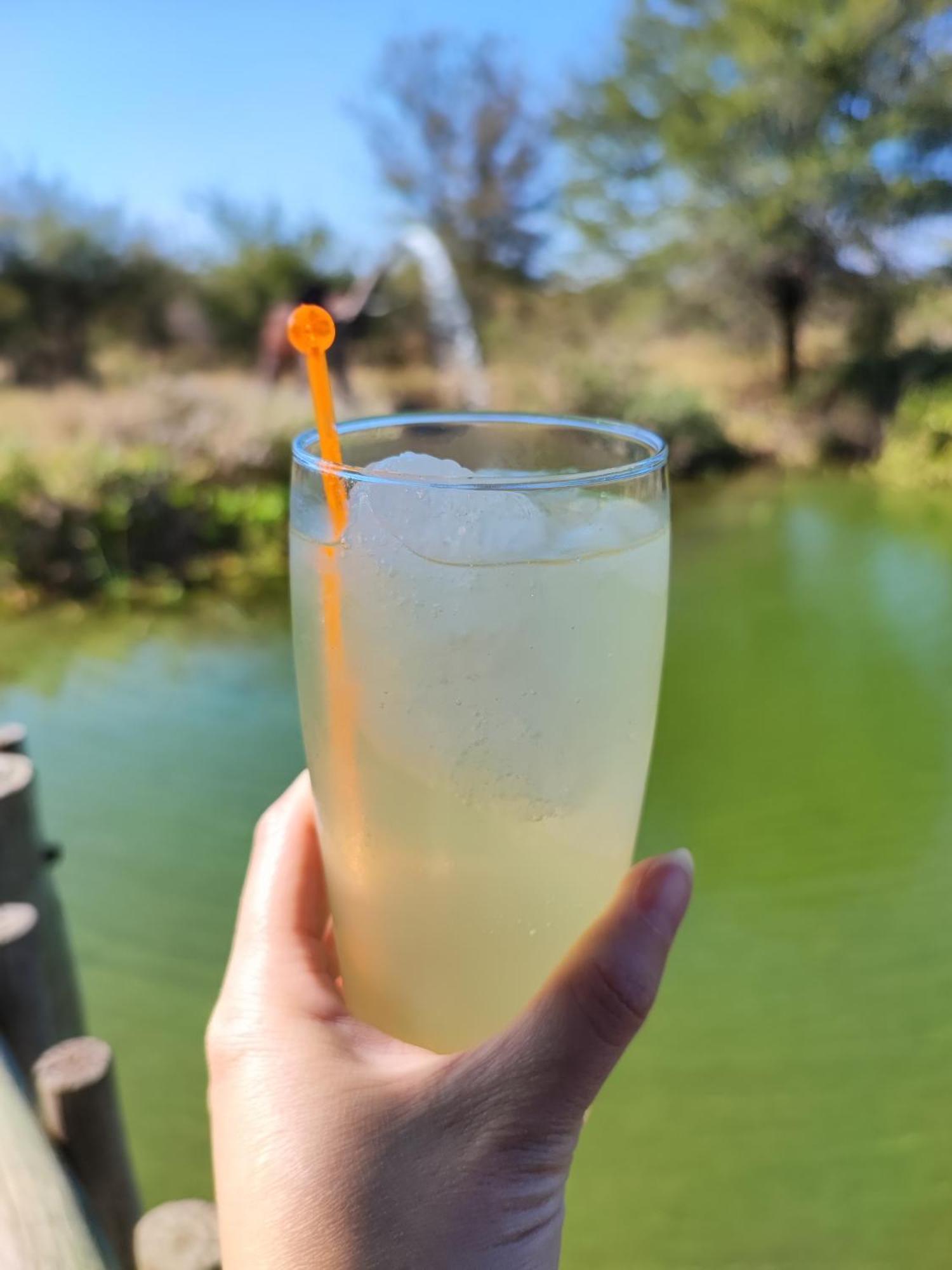 Iphofolo Lodge & Tented Camp Vivo Bagian luar foto